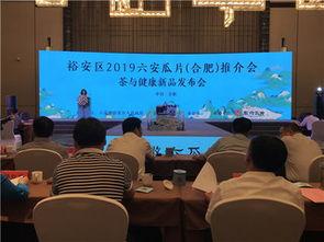 瓜都区今日新闻,聚焦民生热点，共话发展新篇