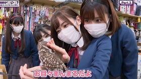 推特今日大瓜,揭秘娱乐圈惊人内幕！”