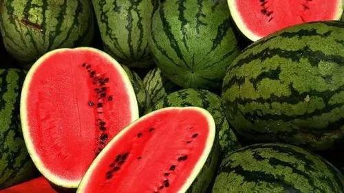 昌黎小瓜今日报价,新鲜美味，价格实惠，抢购从速！