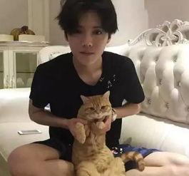 临漳明星网红乖乖仔,闪耀网络，魅力无限