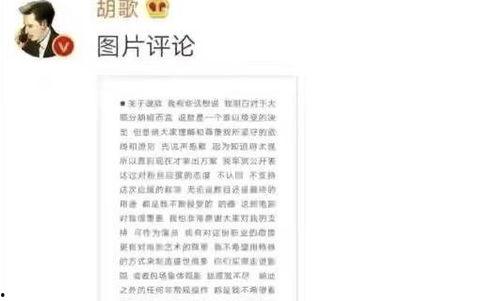 榜样明星网红论文怎么写,从榜样明星网红论文看网络影响力与价值观塑造