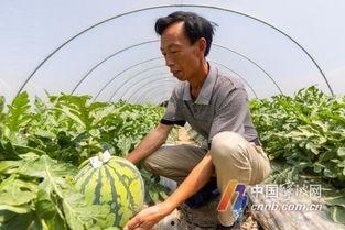宁波今日瓜,新鲜热辣，一网打尽