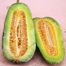 今日热销博洋九号蜜瓜,博洋九号蜜瓜，热销蜜瓜界的明星之作