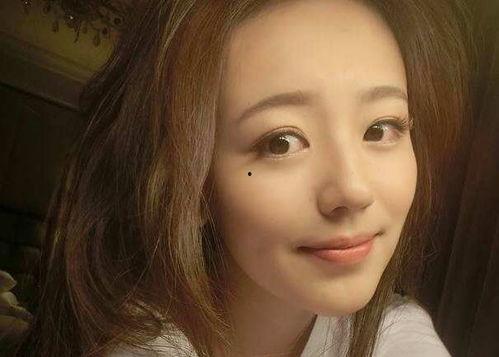 大明星网红音乐大全,流行乐坛的璀璨星河