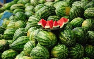 今日王旗营小瓜批发价,新鲜美味，价格实惠，抢购从速！”