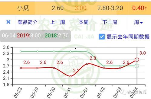 今日小瓜走势预测,洞察市场脉搏，把握投资先机