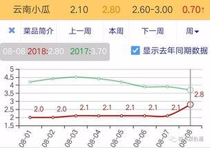 今日小瓜走势预测,洞察市场脉搏，把握投资先机