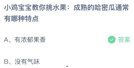 蚂蚁庄园今日答案哈密瓜,甜蜜夏日里的清凉佳果
