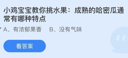蚂蚁庄园今日答案哈密瓜,甜蜜夏日里的清凉佳果
