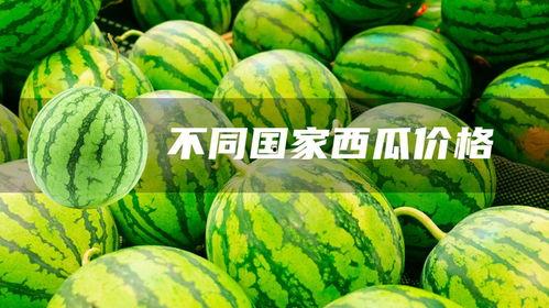 瓜今日价格行情海南,今日价格行情一览