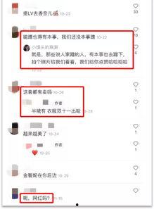 40万左右明星网红推荐,揭秘热门爆款背后的秘密