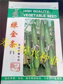 旱瓜今日价格,涨跌波动解析