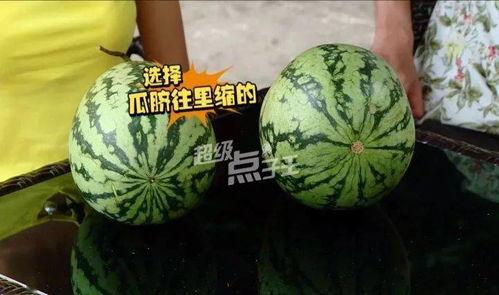 小圆瓜今日价格表最新,最新行情一览”