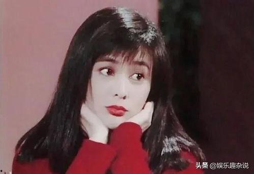 香港大明星网红,香港大明星网红的璀璨人生