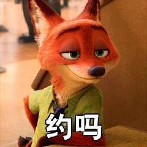郑州今日吃瓜朱迪