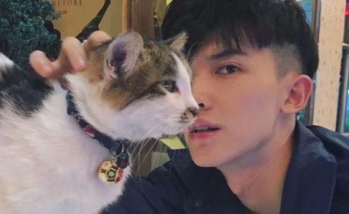 小明星网红男生图片大全,小明星网红男生图鉴