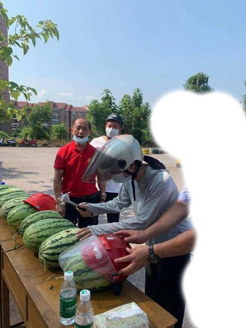 朝阳今日吃瓜事件,揭秘网络热议背后的真相与反思