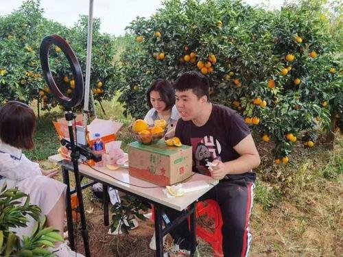 瑞金明星网红基地在哪里,揭秘网红聚集的神秘之地