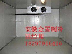 通海冷库今日小瓜价格表,行情波动，市场动态一览