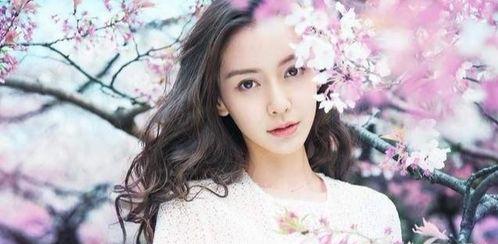 明星网红为什么要请水军,背后的真相与影响