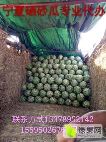 宁夏砂瓜今日最新价格表,今日行情一览