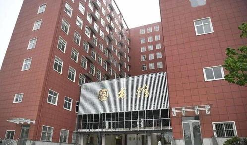 今日河南周口西 瓜报价,品质瓜果备受市场青睐”