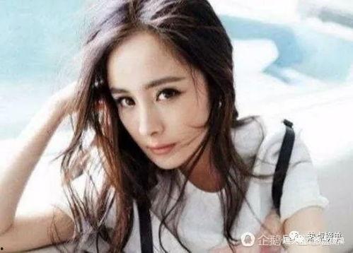 环球明星网红排名榜,揭秘当下最具影响力的网络红人