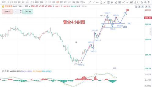 晴蓝福瓜今日价格走势,今日走势解析