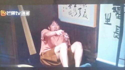 明星网红来云南吃菌子,明星网红云南菌子美食之旅