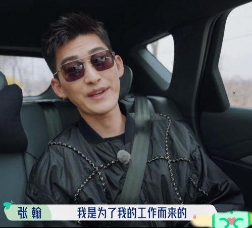 明星网红来云南吃菌子,明星网红云南菌子美食之旅