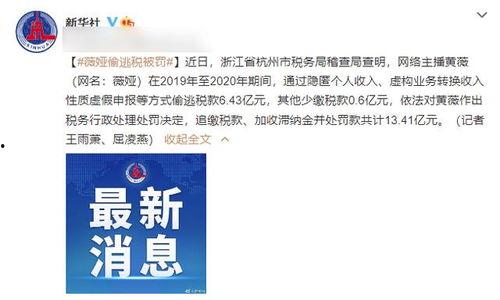 明星网红偷税漏税行为,揭秘娱乐圈税务乱象