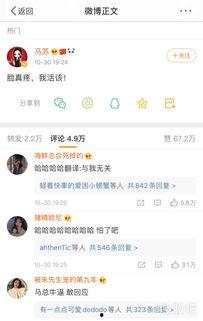 今日吃瓜在线播放网,揭秘娱乐圈最新热点，带你畅游娱乐资讯海洋