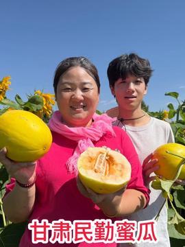 今日头条的蜜瓜,探索夏日清新果实的甜蜜奥秘