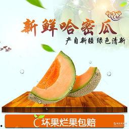 今日新疆哈密瓜批发价,甜蜜瓜果价格波动解析”