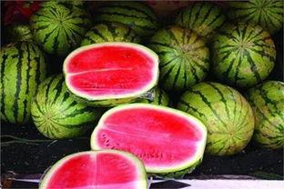 今日吃瓜最忌讳什么食物,揭秘哪些食物让你“吃瓜”变“吃力”