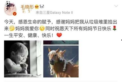 感谢明星网红朋友的话语,致我最敬爱的明星网红朋友