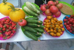 上海今日瓜菜价格,实惠与多样并存