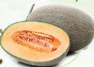 哈密瓜二瓜市场今日行情,价格波动，供需动态解析”