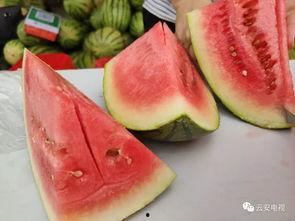 今日开启吃瓜模式了吗图片,开启视觉盛宴之旅