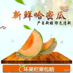 今日甜瓜哈密瓜价格,甜瓜市场行情分析