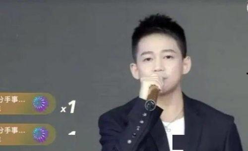 明星网红歌手公务员,多元身份的跨界传奇