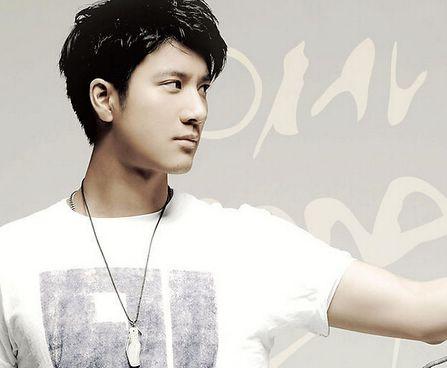 明星网红歌手公务员,多元身份的跨界传奇