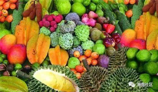 海南吊瓜今日价格,市场行情实时解析