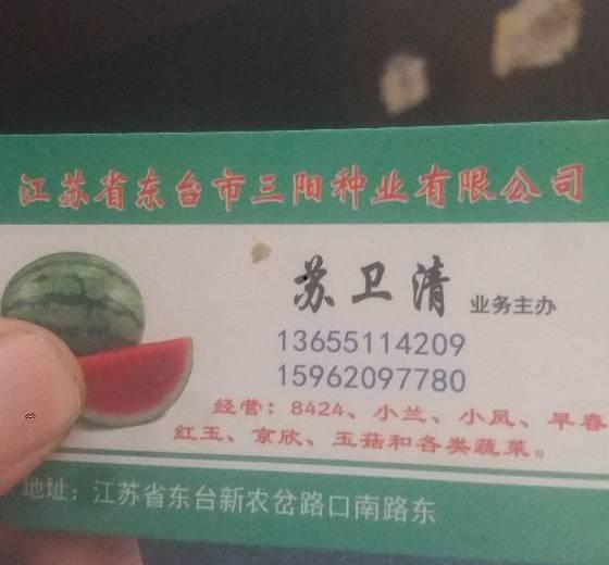 江苏今日瓜价,新鲜上市，价格波动一览