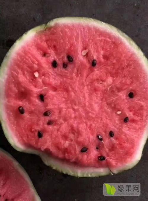 江苏今日瓜价,新鲜上市，价格波动一览