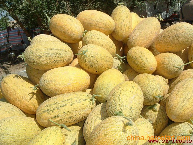 哈密瓜批发价今日价格行情,价格波动及市场分析”