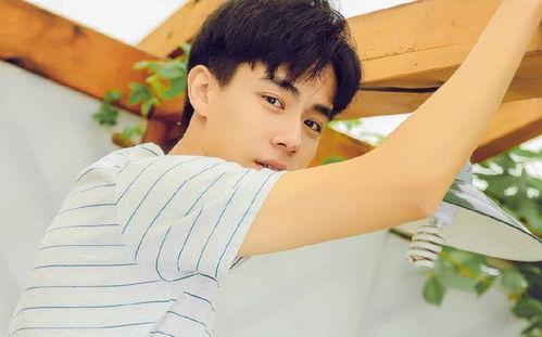 少年感明星网红是谁