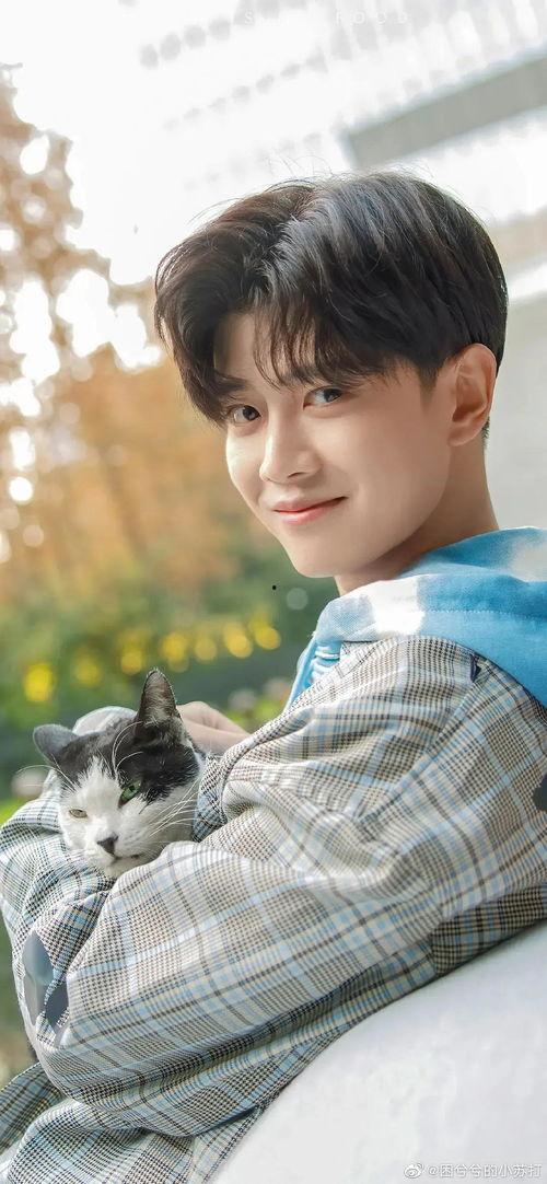 少年感明星网红是谁