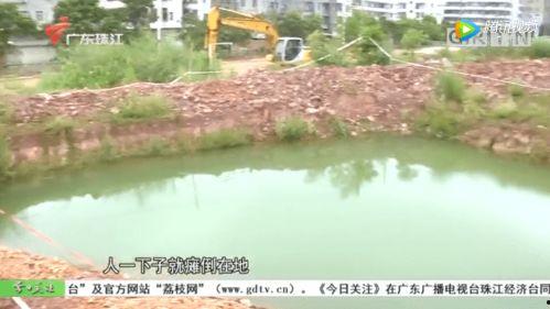 今日关注园洲土瓜圩违建