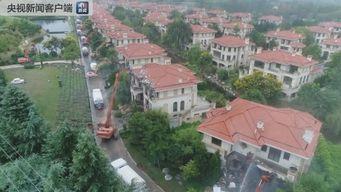 今日关注园洲土瓜圩违建